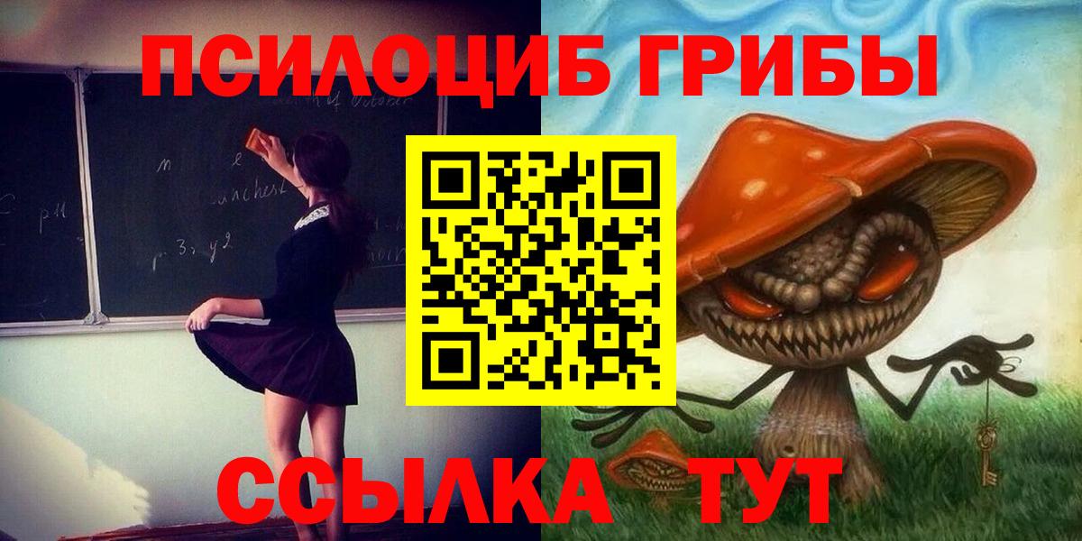 Галлюциногенные грибы Psilocybe  Вход с VPN  Трёхгорный 